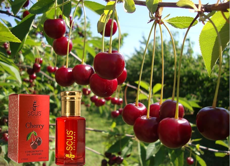 SCUS Perfumes
