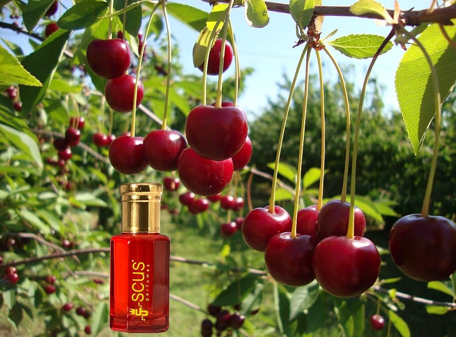 SCUS Perfumes